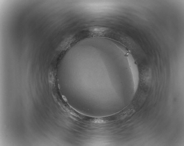 X0000067350759200604071425