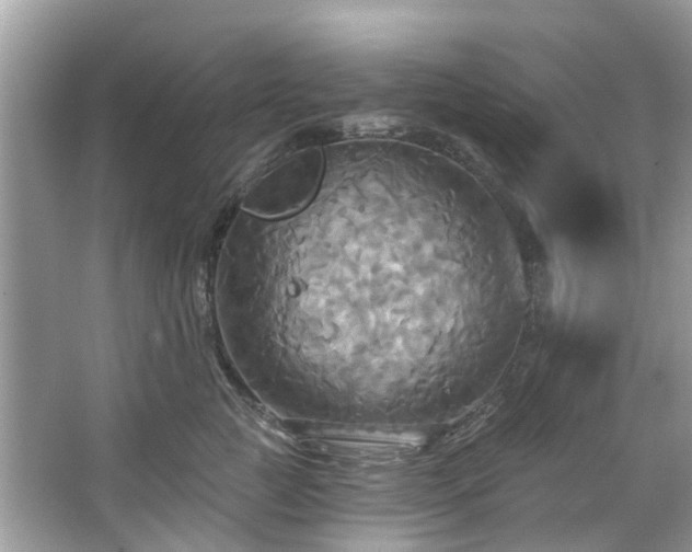 X0000067350761200604071425