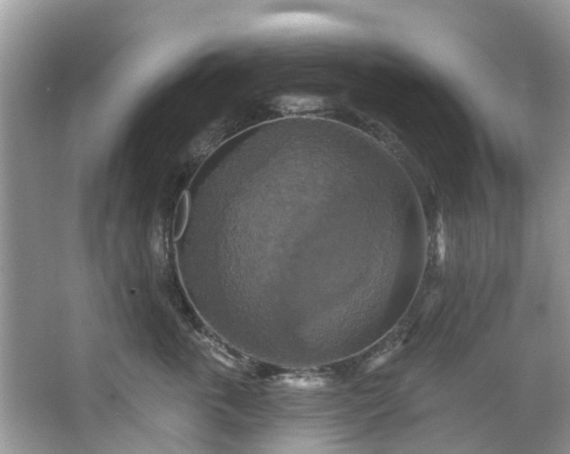 X0000067350763200604071425