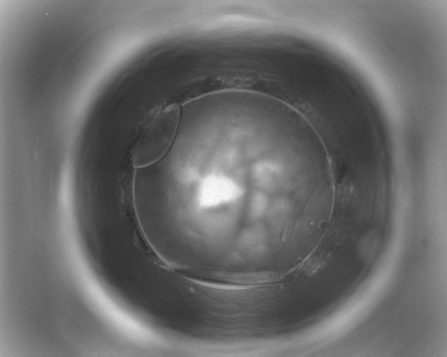 X0000067350765200604071425