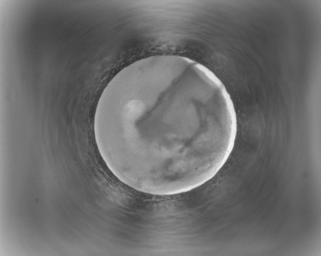 X0000067350769200604071424