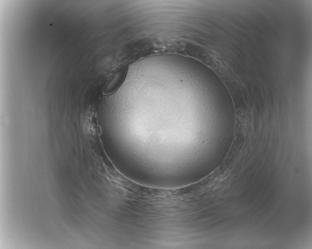 X0000067350770200604071424