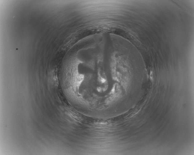 X0000067350771200604071424