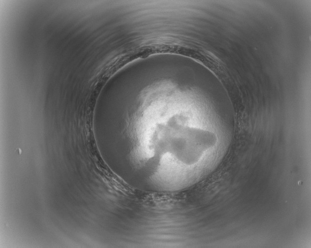 X0000067350774200604071424