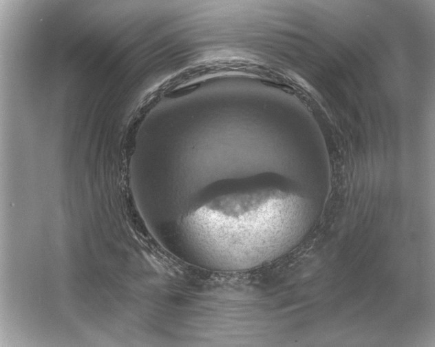 X0000067350775200604071424