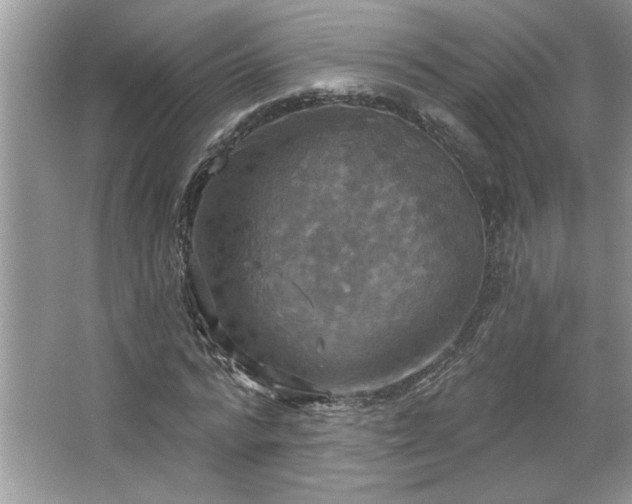 X0000067350776200604071424