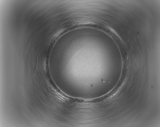 X0000067350777200604071424