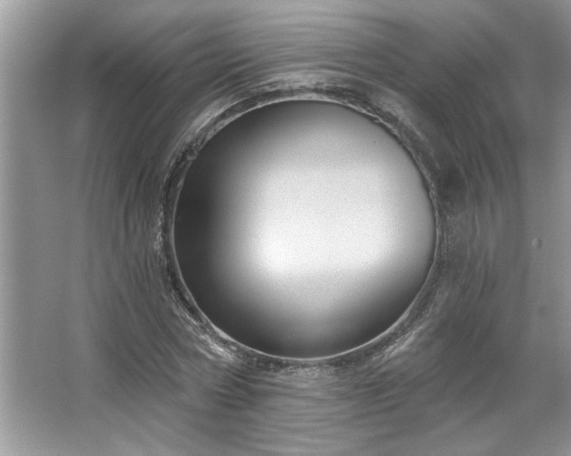 X0000067350778200604071424