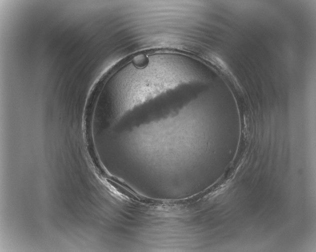 X0000067350780200604071424