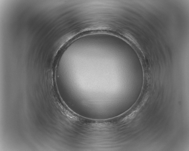 X0000067350781200604071424