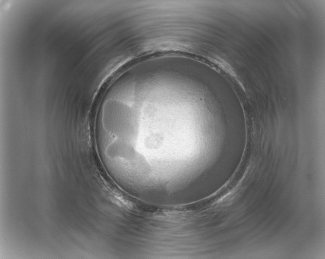 X0000067350782200604071424