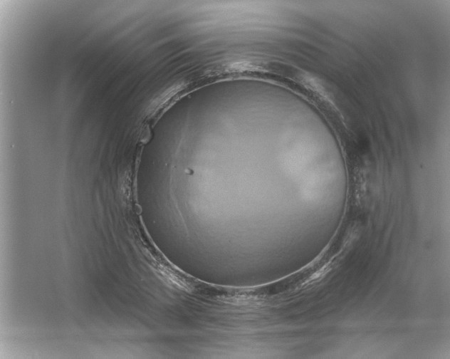 X0000067350785200604071424