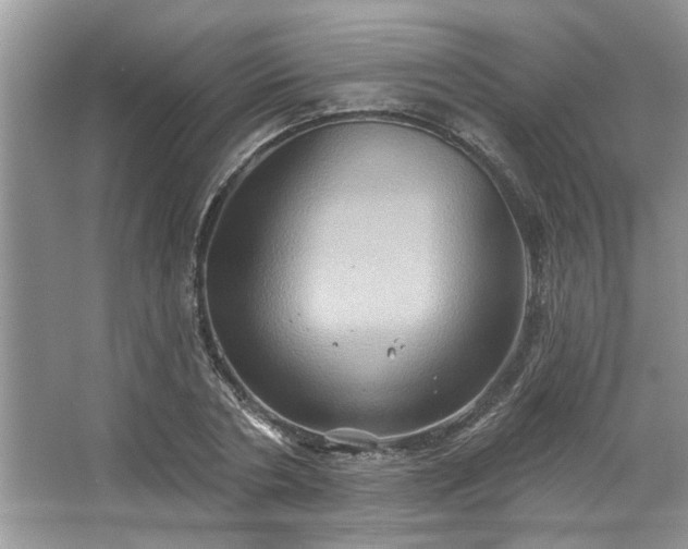 X0000067350786200604071424