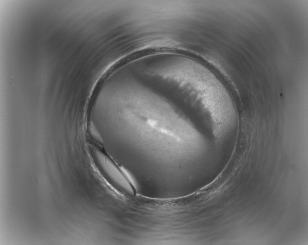 X0000067350791200604071424