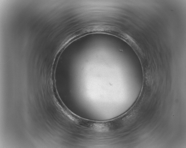 X0000067350794200604071424