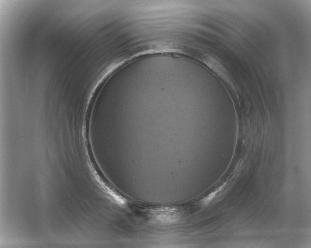 X0000067350797200604071424