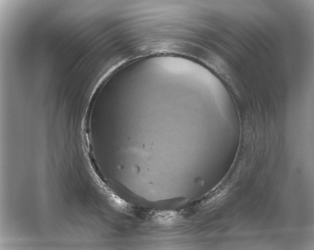 X0000067350798200604071424