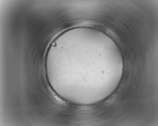 X0000067350800200604071424