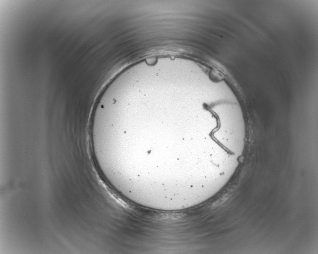 X0000067350802200604071424