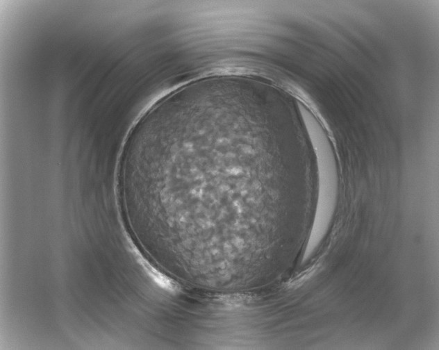 X0000067350803200604071424