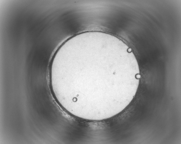 X0000067350804200604071424