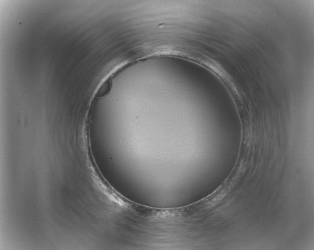 X0000067350806200604071424