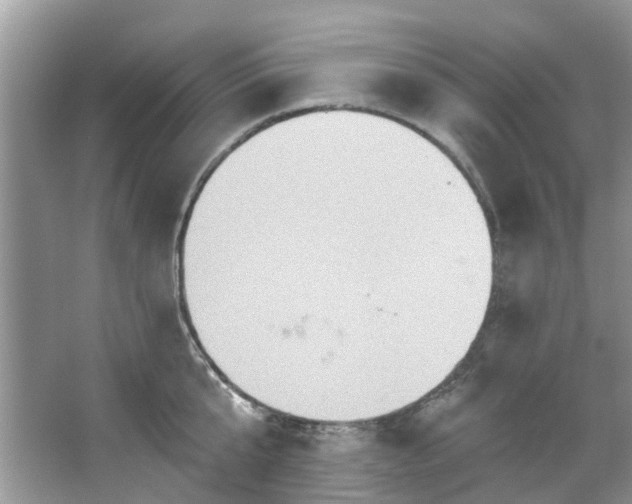 X0000067350807200604071424