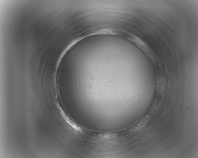 X0000067350808200604071424