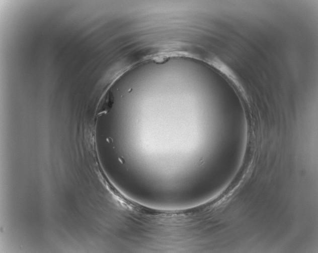 X0000067350809200604071424