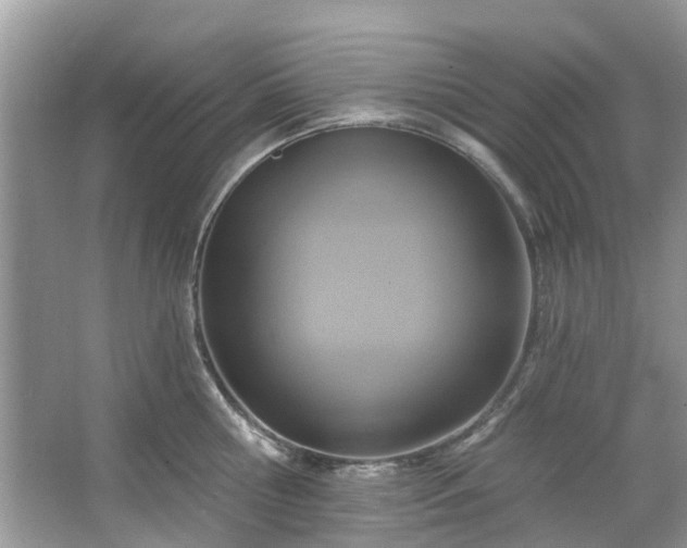 X0000067350810200604071424