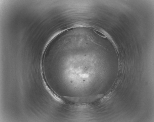 X0000067350811200604071424