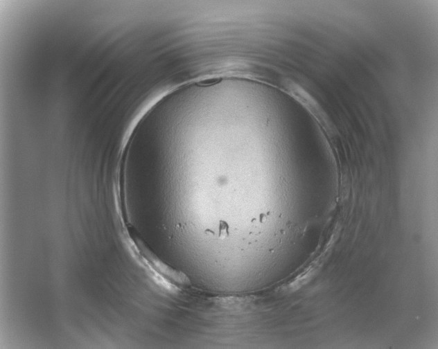 X0000067350812200604071424