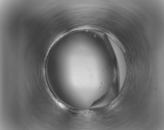 X0000067350813200604071424