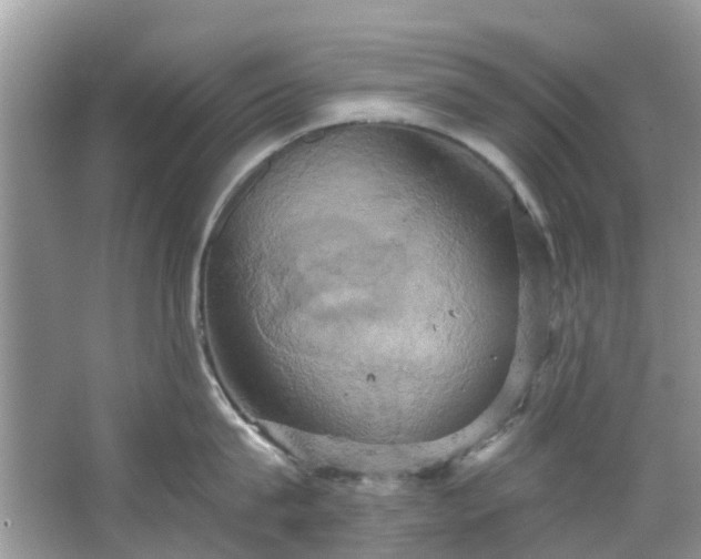 X0000067350815200604071424