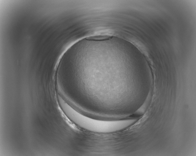 X0000067350816200604071424