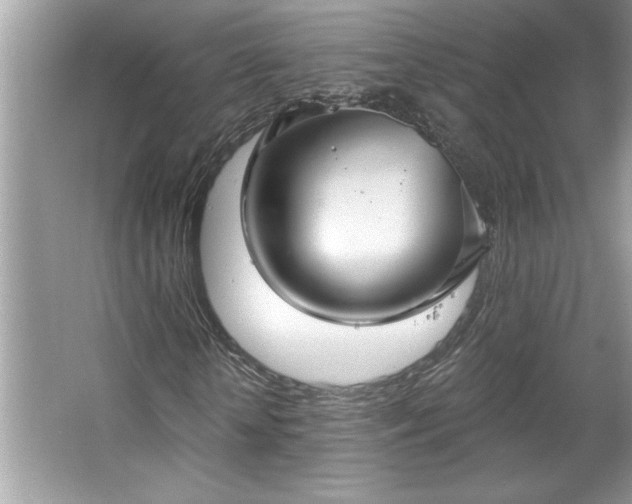 X0000067350818200604071423