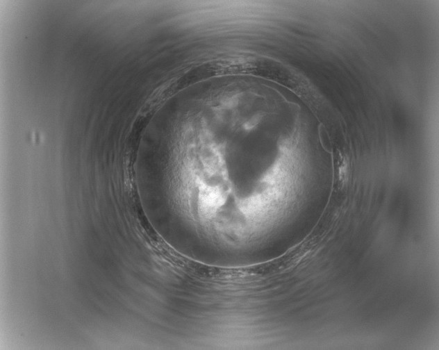 X0000067350819200604071423