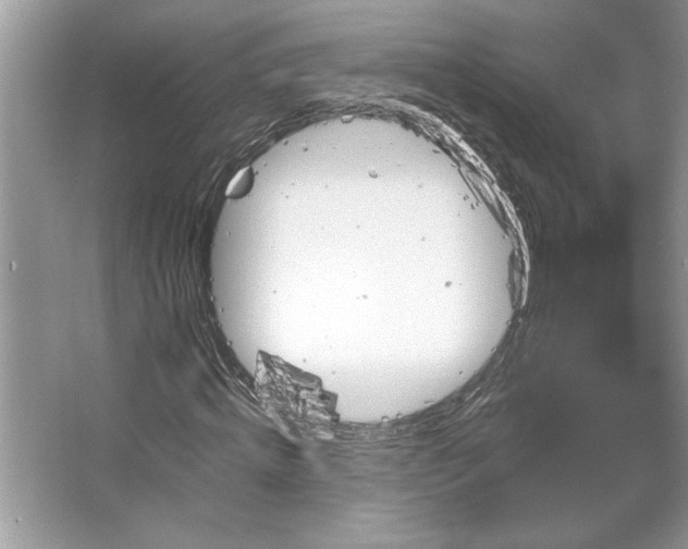 X0000067350820200604071423