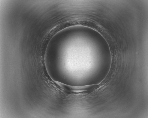 X0000067350822200604071423