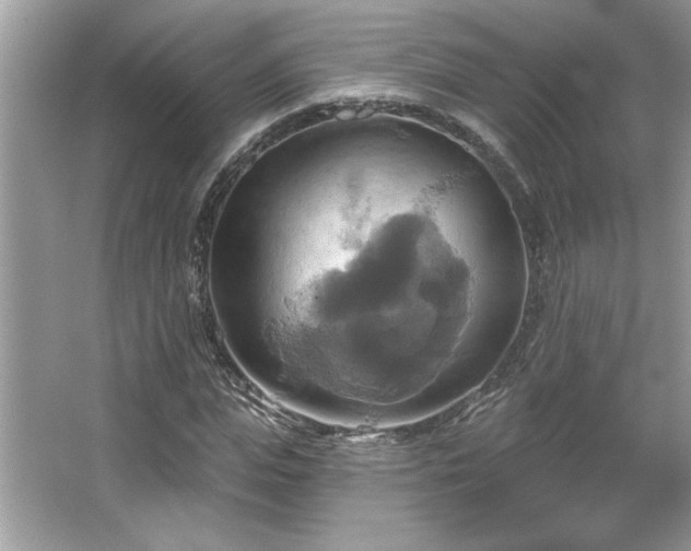 X0000067350823200604071423