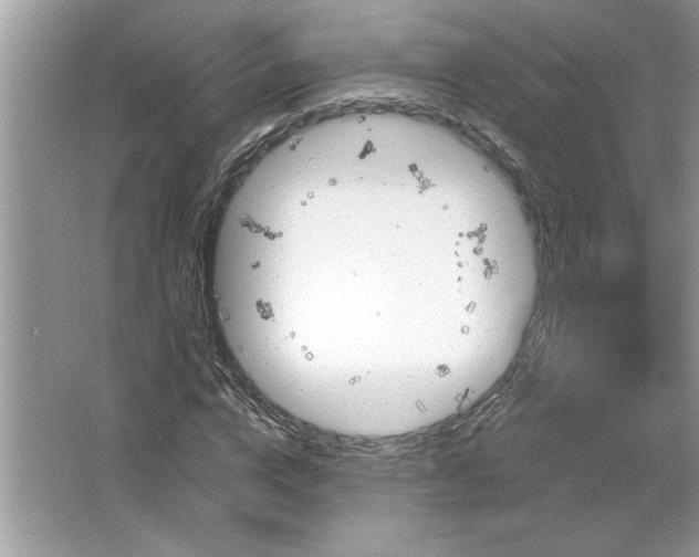 X0000067350824200604071423