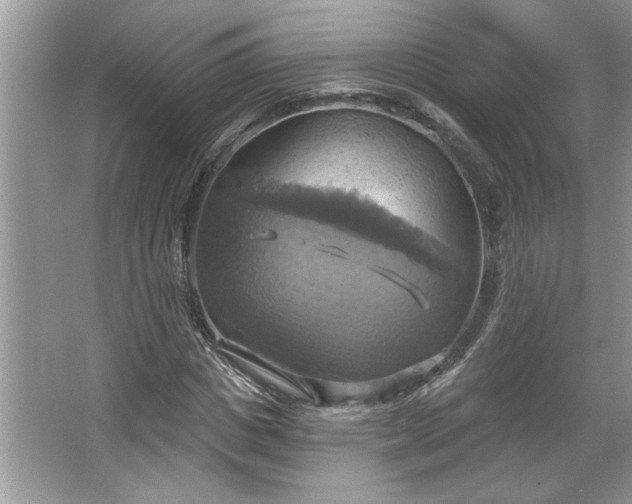 X0000067350825200604071423