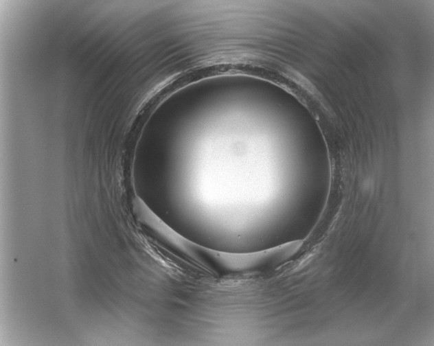 X0000067350826200604071423