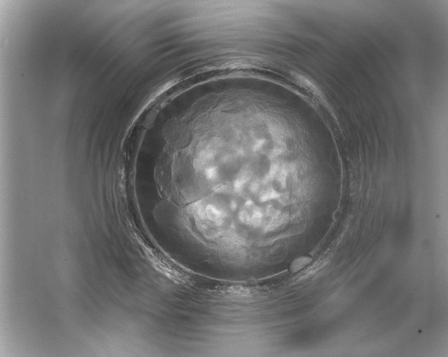 X0000067350827200604071423