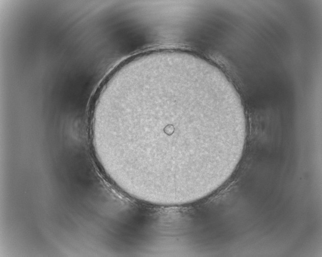 X0000067350828200604071423