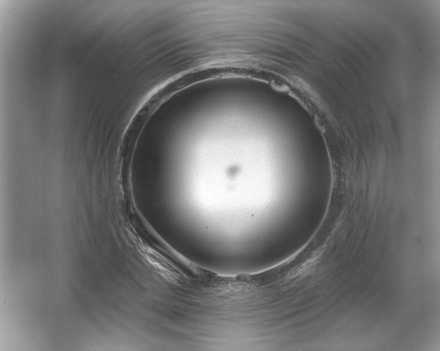 X0000067350830200604071423