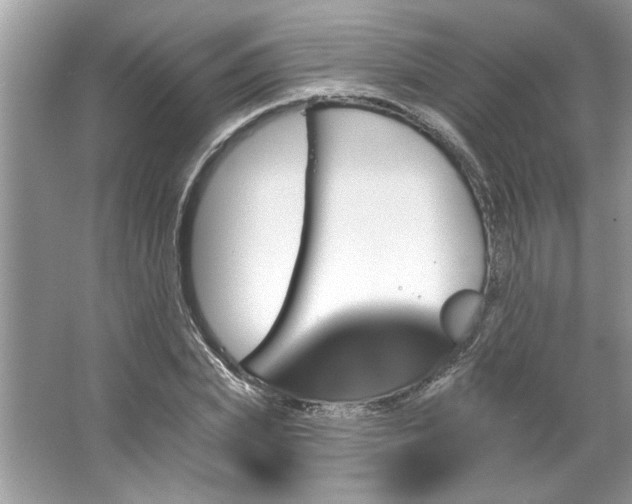 X0000067350831200604071423