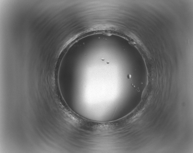 X0000067350834200604071423