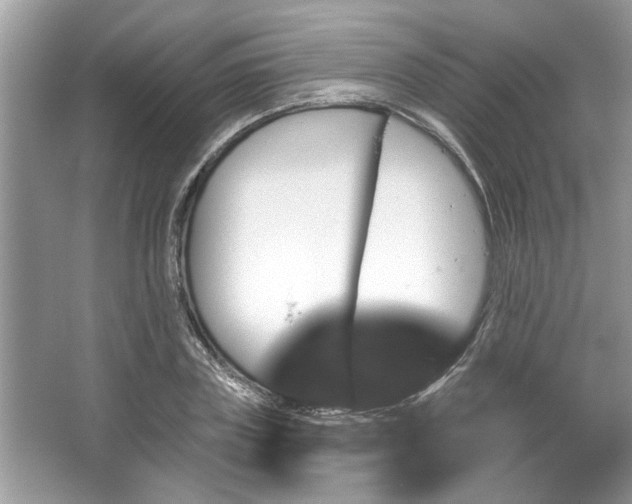 X0000067350835200604071423