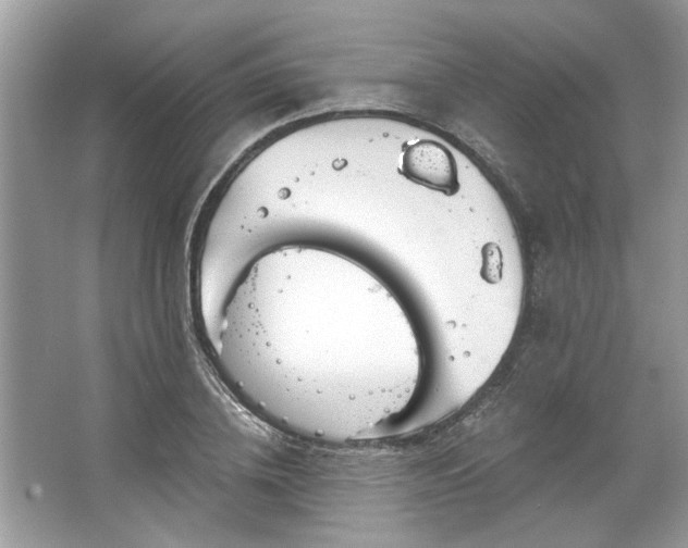 X0000067350836200604071423